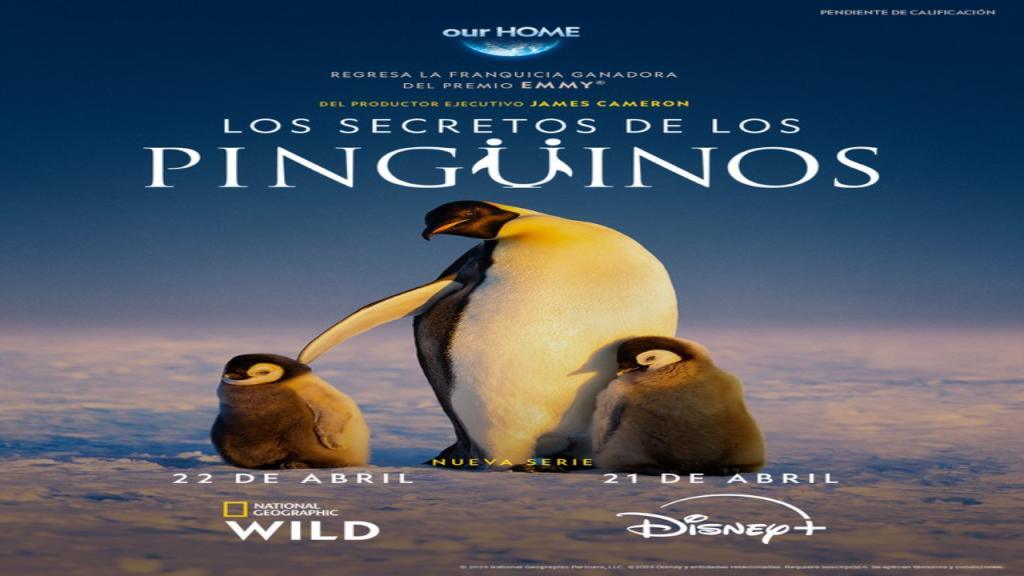 مسلسل Secrets of the Penguins الموسم الاول الحلقة 3 مترجمة والاخيرة